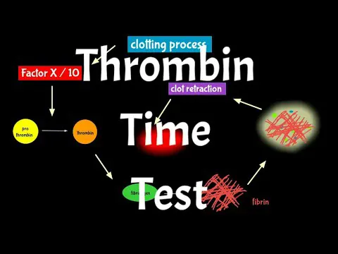 thrombin time tt test